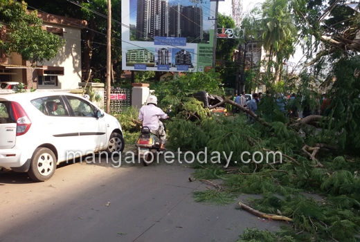 Tree falls on road near pandeshwar